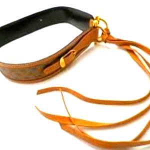 🐴💝Gucci GG Supreme Canvas Tie On Belt COA